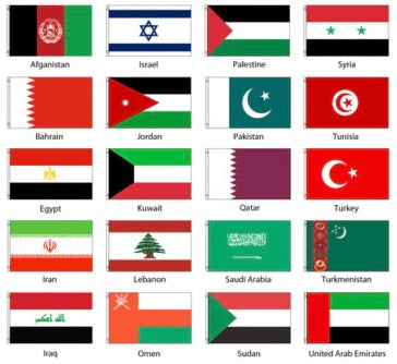 Middle Eastern Carriers